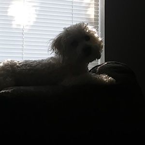 Meet your Posher, Jane